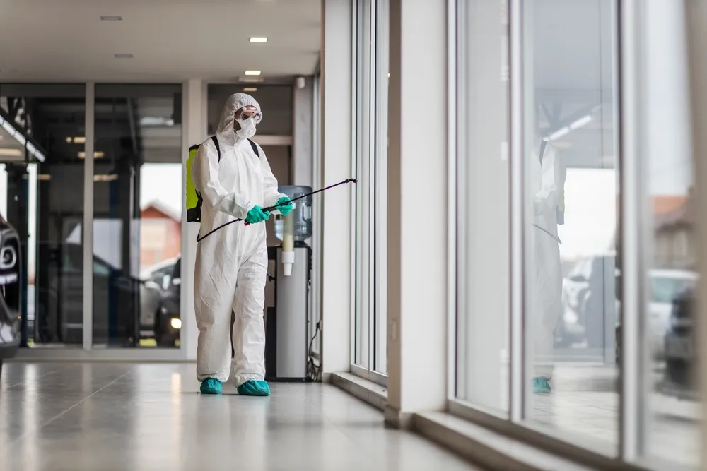 Servicios de fumigación