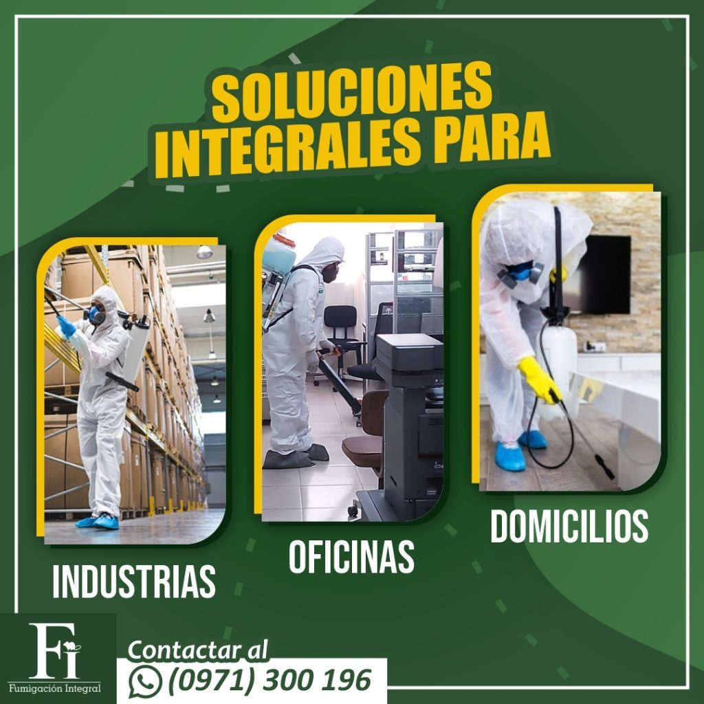 Fumigación en Asunción, Paraguay